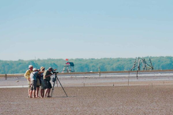 Itinerary - Birdwatchers are watching birds through a telescope and having a conservation in Can Gio.