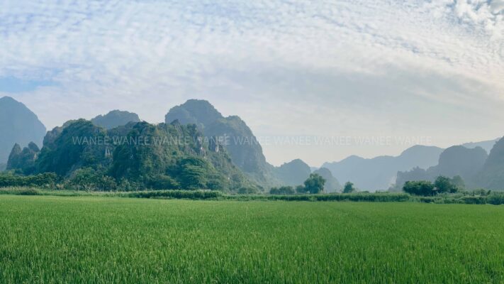Destination_guide - Van Long Nature Reserve Breath taking mountainous view.