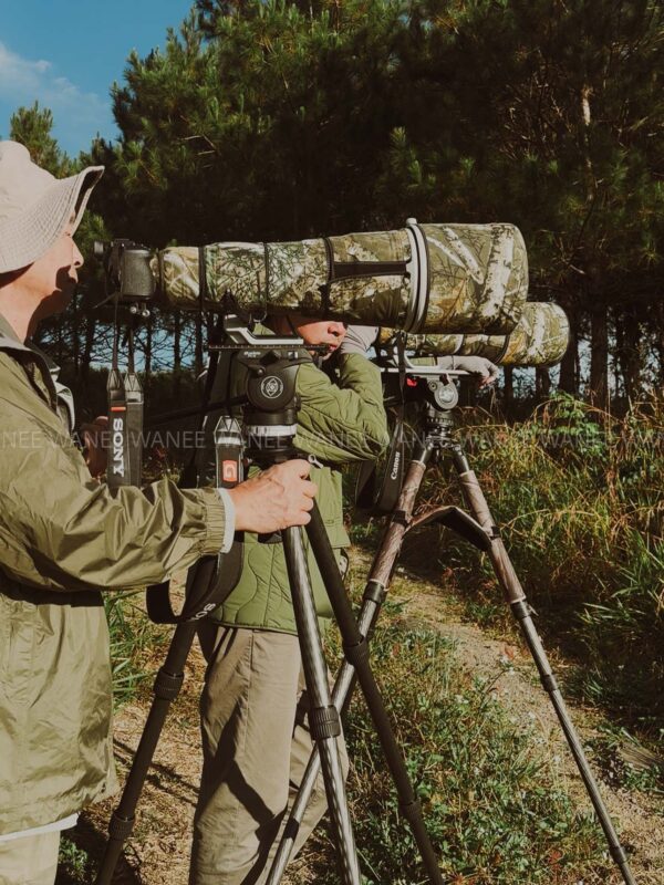  Vietnam pitta birding tour Itinerary