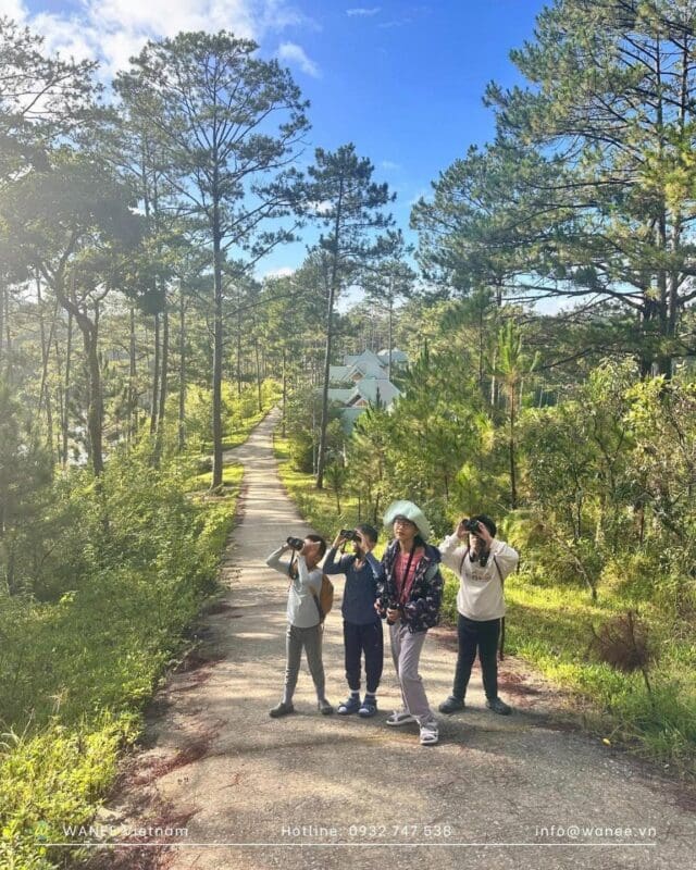 Top 10 Family Wildlife Holidays in Vietnam 1 Family Wildlife holidays in Vietnam: Birdwatching in Bidoup National Park
